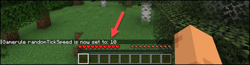 how-to-change-tick-speed-in-minecraft-4-compressed - Online Tech Tips How to Change Tick Speed in Minecraft Using Commands image 3 - how-to-change-tick-speed-in-minecraft-4-compressed