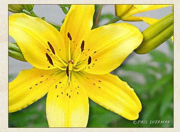 pasted-image-0 - Online Tech Tips Watermark image - pasted-image-0