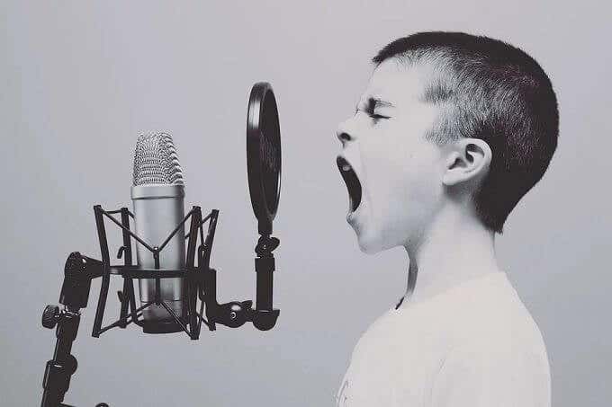 ScreamingChild - Online Tech Tips Voice Chat Features image - ScreamingChild