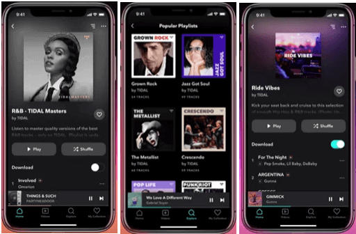 6-best-spotify-alternatives-for-music-streaming-tidal - Online Tech Tips Best Alternative to Spotify for Music Streaming image 5 - 6-best-spotify-alternatives-for-music-streaming-tidal