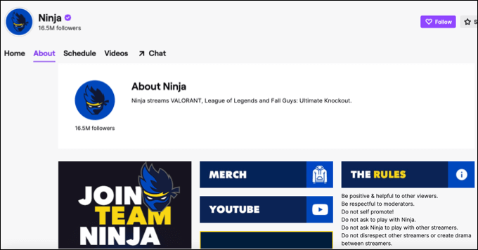 7-Twitch-Branding-Example - Online Tech Tips Build Your Own Brand with Originality and Consistency image - 7-Twitch-Branding-Example