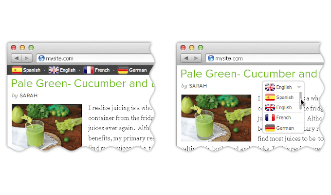 WordPress-Plugin - Online Tech Tips Google Website Translator Plugin for WordPress image - WordPress-Plugin